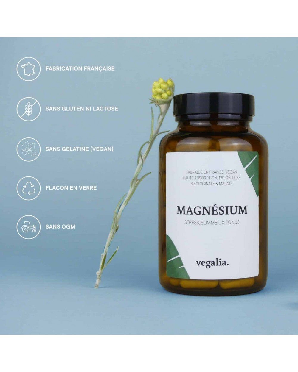 MAGNESIO