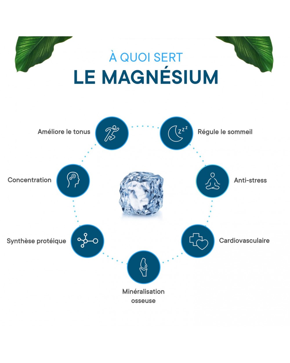 MAGNESIO